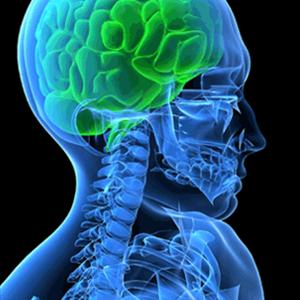 Semi Headache Racks - Finding A Cure For Migraine Headaches