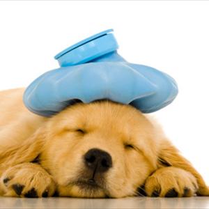 Headache Articles - Migraine Remedies, How To Treat Migraine